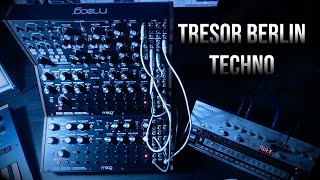 Tresor Berlin Techno DFAM and subharmonicon