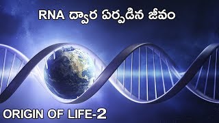 Origin Of Life-2 | RNA World Theory In Telugu