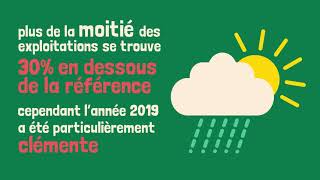 Groupes 30 000 en Occitanie - Viticulture - Les enseignements de la campagne 2019