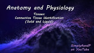 Covering Connective Tissue Individually - Osseous and Blood (Ch04 - Slides61-66)