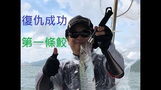 [新手釣魚佬] 2018年7月22日 復仇成功 - 第一條鮫