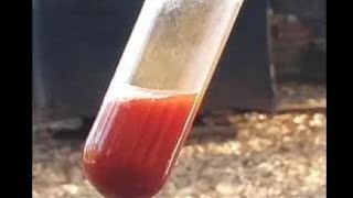 How to Make Dibismuth Tetroxide #chemistry #oxidation #bismuth #oxidize