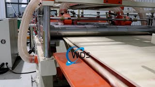 Efficient Automatic Plywood Edge Trim Saw: The perfect solution for plywood processing#plywood #wds