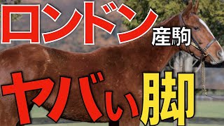 【殿一気】グレーターロンドン産駒の末脚がヤバすぎる！また日高から大物か。