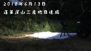 蓬莱深山三産地目達成【クワガタムシ】台湾北部2018年6月13日ライトトラップ