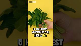 5 Healthiest Vegetables You Need to Add to Your Diet!