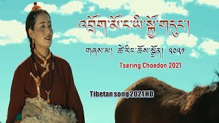 Tibetan song 2021 | བོད་གཞས་གསར་པ་༢༠༢༡༼འབྲོག་མོ་ང་ཡི་སྐྱོ་གདུང།༽ཚེ་རིང་ཆོས་སྒྲོན། | Tsering Choedon