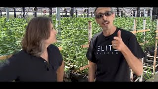 Kyle Kushman: Light and the Flowering Photoperiod for Cannabis / Derek Gilman / Ganjier