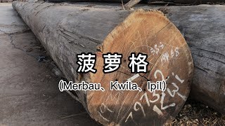 一分钟了解菠萝格（印茄木）Wood Knowledge: An Introduction To Merbau（Kwila、Ipil）