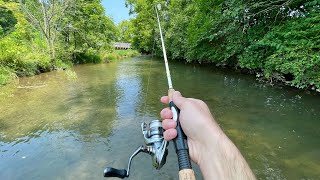 Catching TROUT with Spinners (creek fishing)