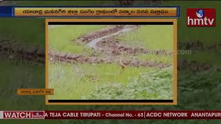 Snakes Dancing in Yadadri Valigonda | Snakes dancing Video | Telangana News | hmtv