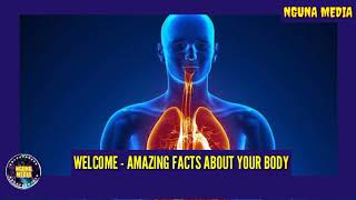 FUNZO: MAAJABU YA MWILI WAKO/ AMAZING FACTS ABOUT YOUR BODY - Ep 3