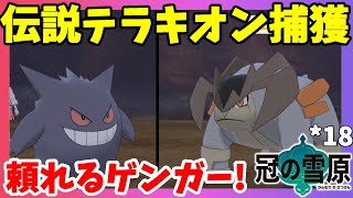 【ポケモンソードシールド】テラキオン捕獲！超苦戦のプレミアボール捕獲・・・シールド#18冠の雪原【エキスパンションパス】