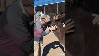 World's 2nd smallest donkey  at New Paths Horse Sanctuary