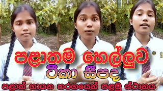 ටීකා සීපද-teeka seepada |teeka seepada grade 10 |tika sipada |cover songs sinhala @sithulk1