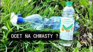 Ocet na chwasty - czy warto stosować? (Naturalny sposób na chwasty)