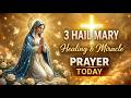 3 Hail Mary Novena for Miracles 🌹 Powerful Prayer for Urgent Needs