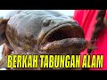 BERKAH TABUNGAN ALAM | JEJAK PETUALANG (05/09/21)