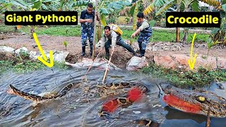 QUYEN FISHING155 | 4 brave hunters chase giant snakes and crocodiles in the wild lagoon.