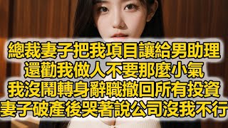 總裁妻子把我項目讓給男助理，還勸我做人不要那麼小氣，我沒鬧轉身辭職撤回所有投資，妻子破產後哭著說公司沒我不行