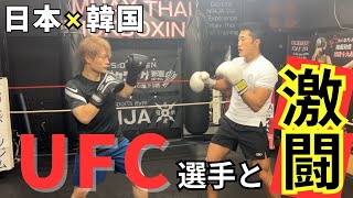 【日本×韓国】世界レベルの韓国UFCファイターとガチスパー