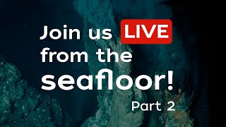 Live from the seafloor in the Gulf of California Part 2