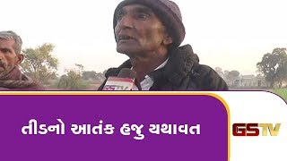 Banaskantha માં તીડનો આતંક હજુ યથાવત, તીડ નિયઁત્રણમાં સરકાર નિષ્ફ્ળ