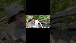 【鹿児島ひとり旅】桜島編🌸 #ひとり旅 #vlog #夏