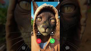 Big Cat Calling You at 3 am... 🤣