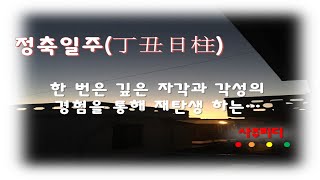 정축일주(丁丑日柱) - 한 번은 깊은 자각과 각성의 경험을 통해 재탄생하는..