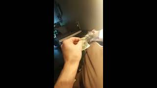 Pet Rat Steals Money From Owner - 985422