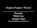 Imagine Dragons - Natural | Karaoke | Lower key