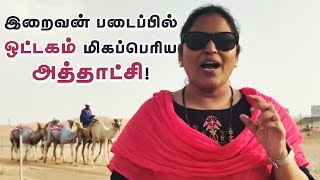 இறைவன் படைப்பில் ஒட்டகம் ஒரு மிகப்பெரிய அத்தாட்சி