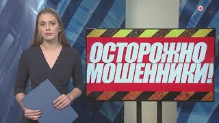 В Севастополе активизировались мошенники-арендодатели