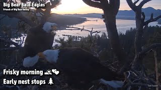 FOBBV CAM🦅Frisky Morning🌅💕Early Nest Stops🌲2023-06-08