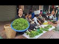 Breeding season of wild chickens! Harvest vegetables to sell in the city