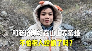 带老挝媳妇上山看蜂箱，周边都没人看管，真的不会被偷走？