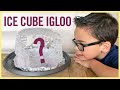 PLAY | ICE CUBE IGLOO (Win or Fail?!?)