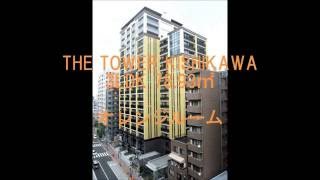 分譲　賃貸マンション　THE TOWER KOISHIKAWA　3LDK　78.93㎡　室内動画