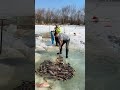 捕魚樂無邊，收獲滿滿鮮 fisherman 抓鱼 有趣