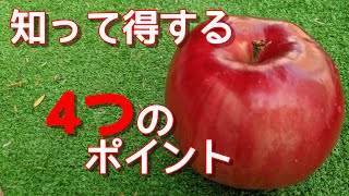 美味しいりんごの見分け方　知って得する４つのポイント　5/5【全5話】