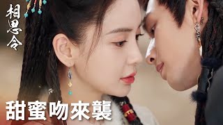 「相思令」假扮夫妻還演上癮了？玄烈強勢索吻君綺羅慌張後退！ | WeTV