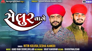 સેલુર વાગે || Selur Vage || Nitin Kolvada - Sedha Kamodi || નિતિન કોલવડા - સેધા કમોડી - D N Music