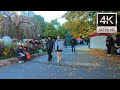 冬の上野公園を散歩 walk through Ueno Park in winter in Tokyo Japan