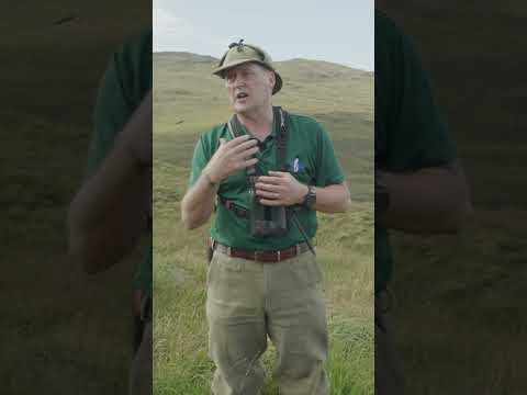 How can we conserve natural energy sources?