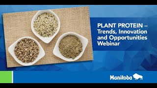 Plant Protein   Trends, Innovation and Opportunities