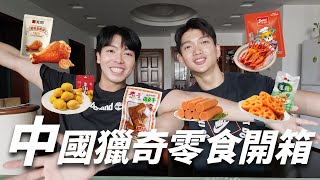 【差點變吃貨】中國獵奇零食開箱｜奇葩美食｜什麼都吃什麼都不奇怪｜看見什麼吃什麼｜弘毅×盛易