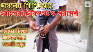 ছাগলের পিপিআর রোগের লক্ষণ ও চিকিৎসা। Symptoms and treatment of PPR disease in goats