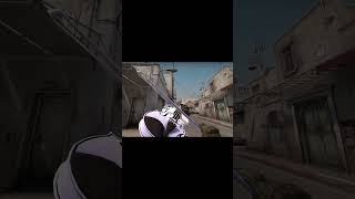 #csgo #整活 #遊戲 #中國玩家 話說，這兩個武器到底誰更勝一籌？