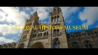 Exploring London's Natural History Museum 2024  | Must-See Exhibits